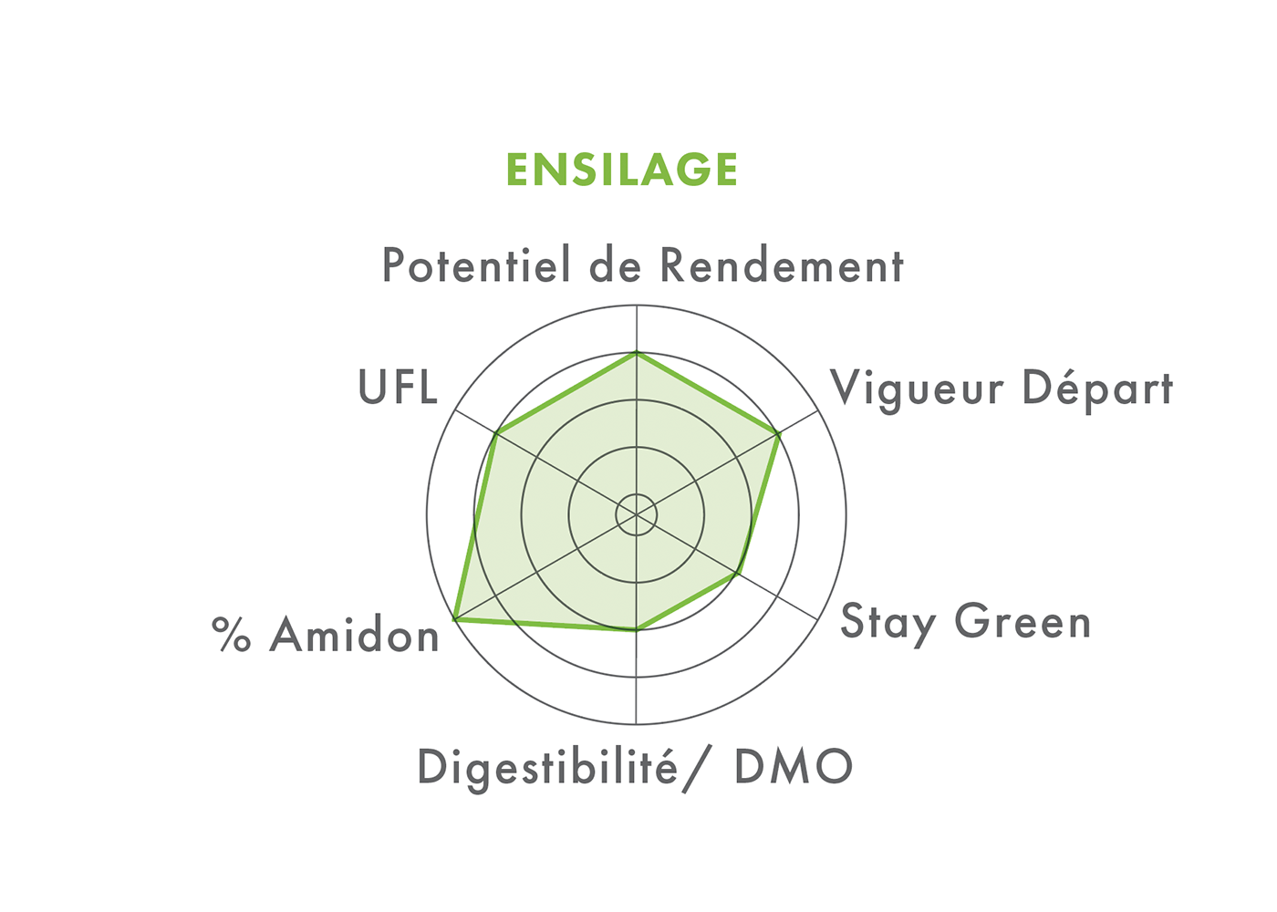 Ensilage FARMEZZO Ensilage FARMEZZO