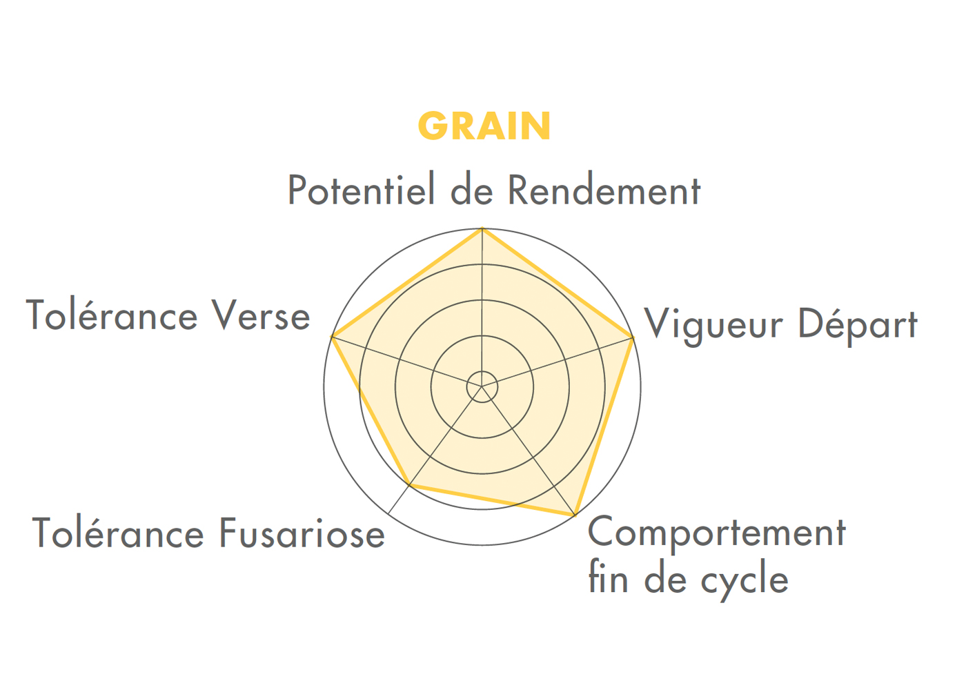 Grain FARMORITZ