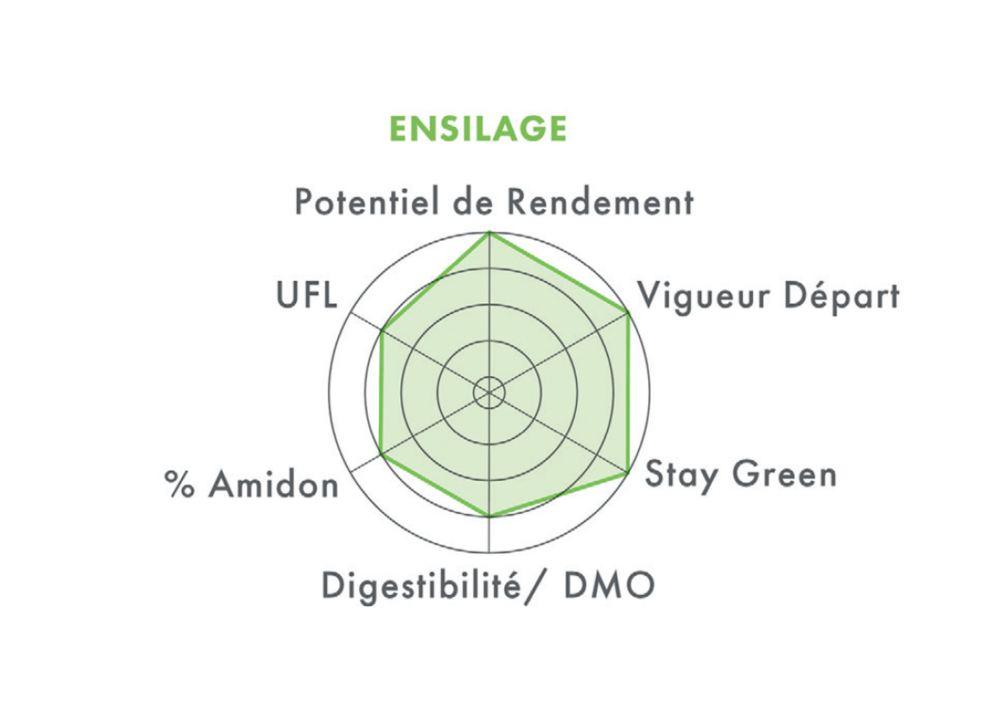 Ensilage FARMUMBA Ensilage FARMUMBA