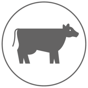 Ensilage