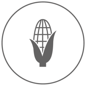 Grain
