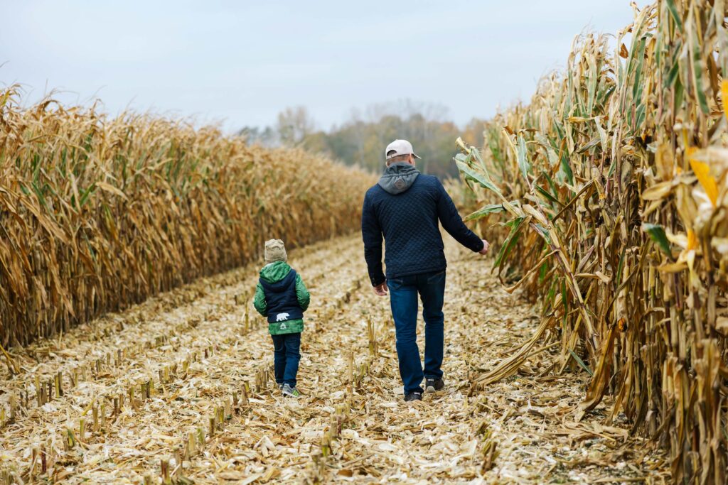 Mann und Kind laufen auf einem abgeerntetem Maisfeld