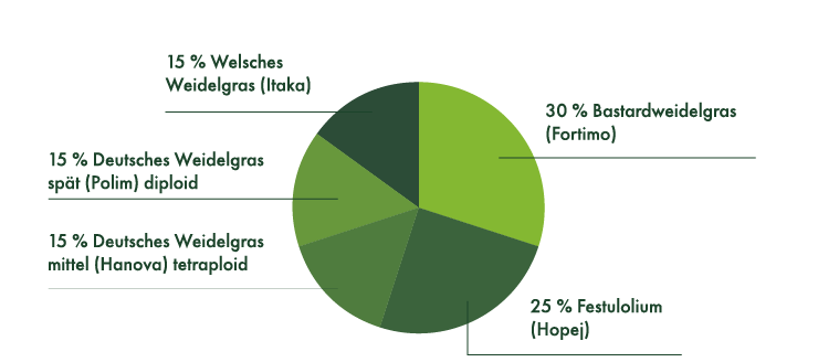 15 % Welches Weidelgras (Itaka), 15 % Deutsches Weidelgras spät (Polim) diploid, 15 % Deutsches Weidelgras mittel (Hanova) tetraploid, 30 % Bastardweidelgras (Fortimo), 25 % Festulolium (Hopej).
