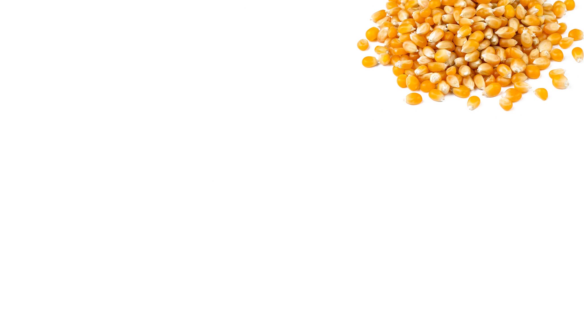 Maiskörner